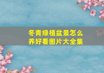 冬青绿植盆景怎么养好看图片大全集