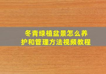 冬青绿植盆景怎么养护和管理方法视频教程