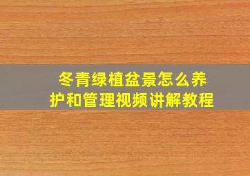 冬青绿植盆景怎么养护和管理视频讲解教程