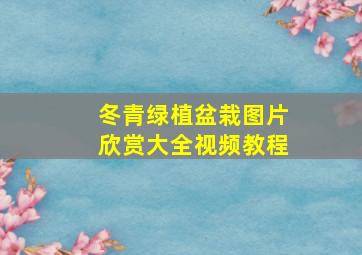 冬青绿植盆栽图片欣赏大全视频教程