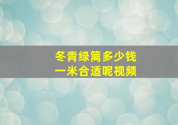 冬青绿篱多少钱一米合适呢视频