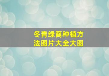 冬青绿篱种植方法图片大全大图