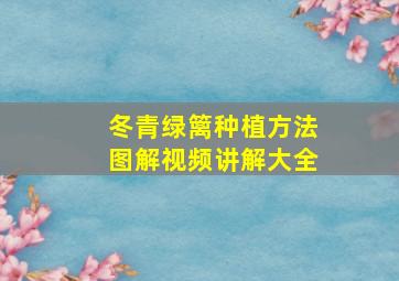 冬青绿篱种植方法图解视频讲解大全