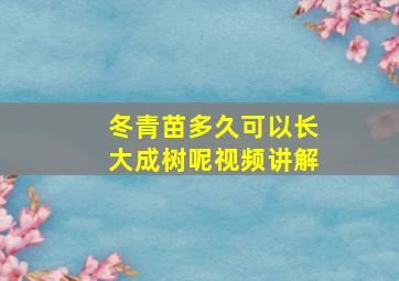 冬青苗多久可以长大成树呢视频讲解