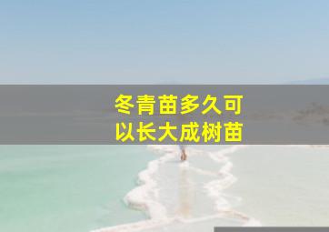 冬青苗多久可以长大成树苗