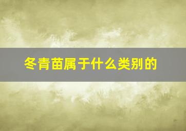 冬青苗属于什么类别的