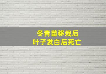 冬青苗移栽后叶子发白后死亡