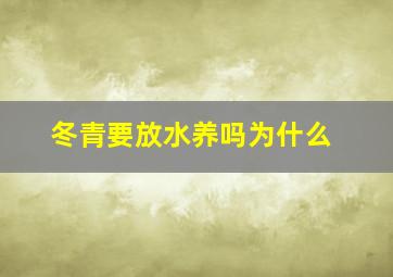 冬青要放水养吗为什么