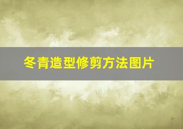 冬青造型修剪方法图片