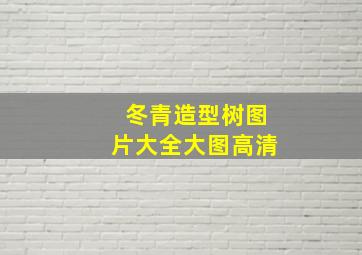 冬青造型树图片大全大图高清