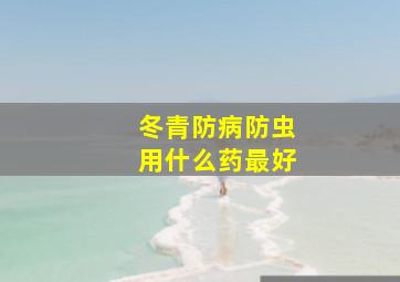 冬青防病防虫用什么药最好