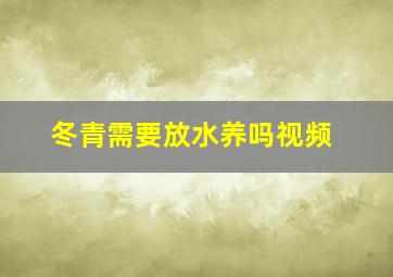 冬青需要放水养吗视频