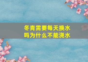 冬青需要每天换水吗为什么不能浇水