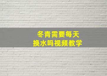 冬青需要每天换水吗视频教学