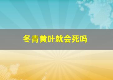 冬青黄叶就会死吗