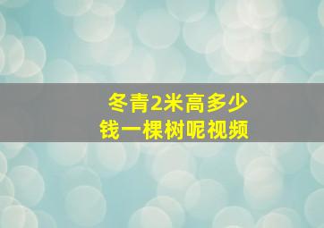 冬青2米高多少钱一棵树呢视频