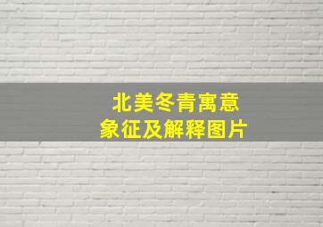 北美冬青寓意象征及解释图片