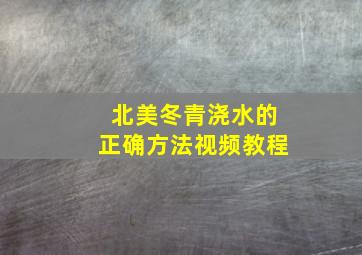 北美冬青浇水的正确方法视频教程