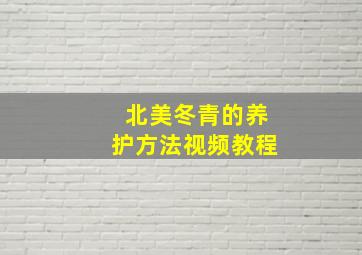 北美冬青的养护方法视频教程