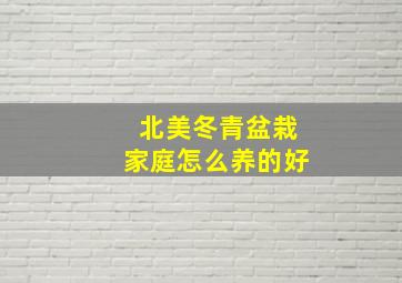 北美冬青盆栽家庭怎么养的好