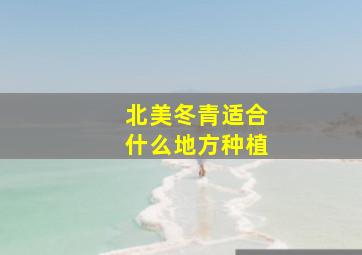 北美冬青适合什么地方种植