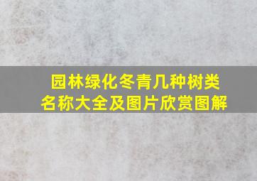 园林绿化冬青几种树类名称大全及图片欣赏图解