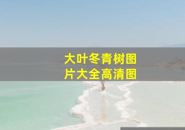 大叶冬青树图片大全高清图