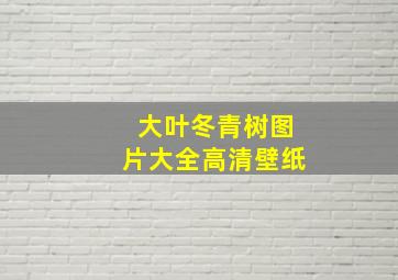 大叶冬青树图片大全高清壁纸