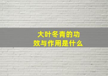 大叶冬青的功效与作用是什么