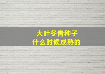 大叶冬青种子什么时候成熟的