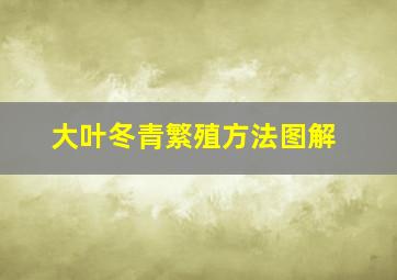 大叶冬青繁殖方法图解