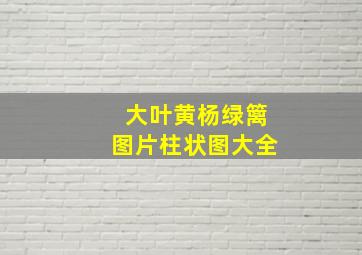 大叶黄杨绿篱图片柱状图大全