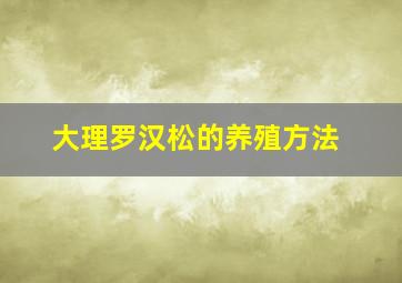 大理罗汉松的养殖方法