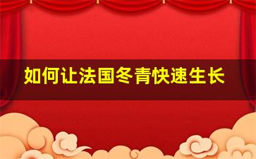 如何让法国冬青快速生长