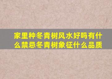 家里种冬青树风水好吗有什么禁忌冬青树象征什么品质