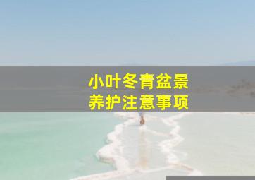 小叶冬青盆景养护注意事项