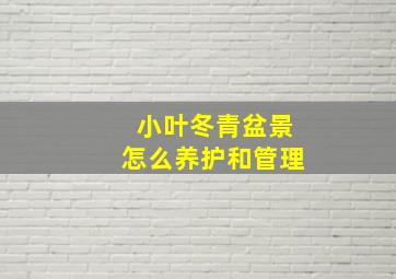 小叶冬青盆景怎么养护和管理