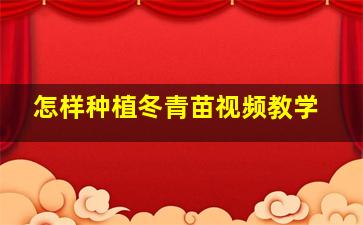 怎样种植冬青苗视频教学