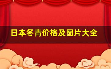 日本冬青价格及图片大全