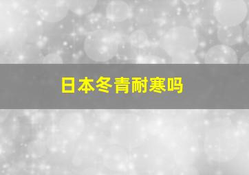 日本冬青耐寒吗