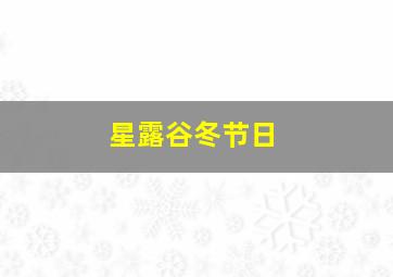 星露谷冬节日