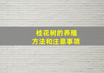 桂花树的养殖方法和注意事项