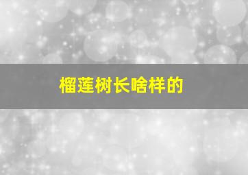 榴莲树长啥样的