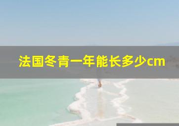 法国冬青一年能长多少cm