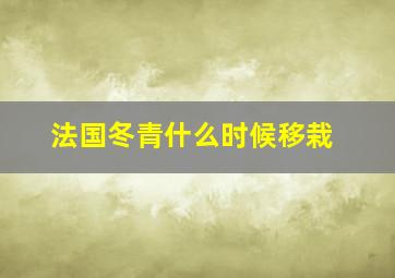 法国冬青什么时候移栽