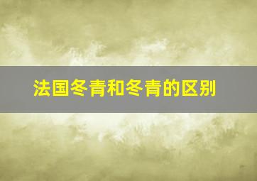 法国冬青和冬青的区别