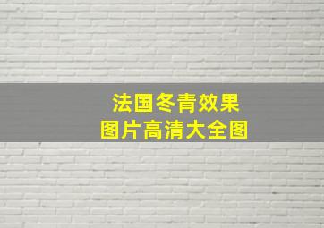 法国冬青效果图片高清大全图