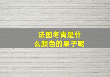 法国冬青是什么颜色的果子呢