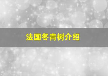 法国冬青树介绍