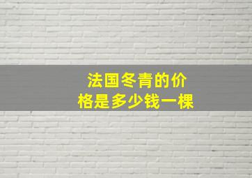 法国冬青的价格是多少钱一棵